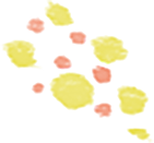 泡