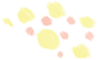 泡